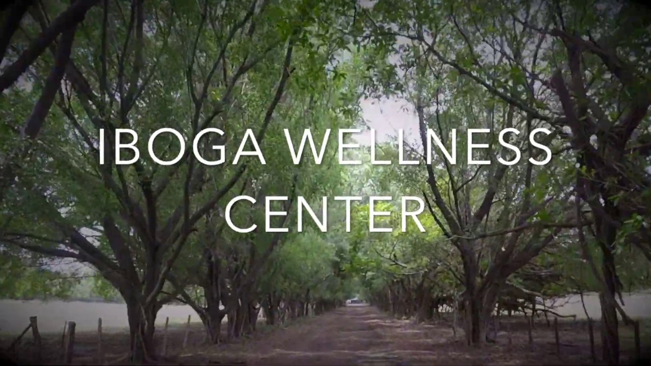 Iboga Wellness Center Video Tour [ Iboga Retreat Costa Rica]