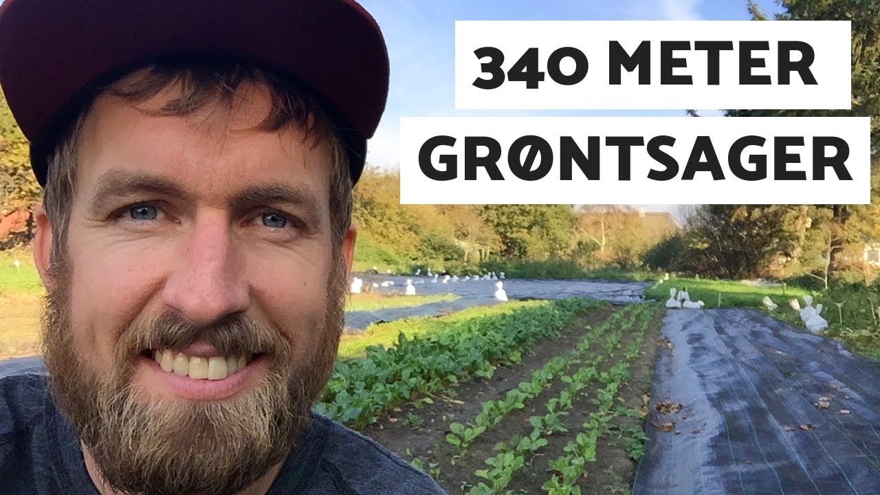 VLOG - 6 - DYRKNING AF 340 METER GRØNTSAGER OM VINTEREN