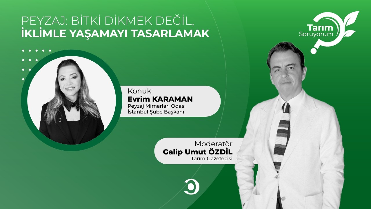 Tarım SoruYorum | Peyzaj: Bitki Dikmek Değil, İklimle Yaşamayı Tasarlamak