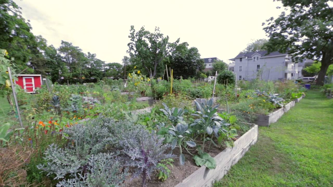 Grow it Green Morristown