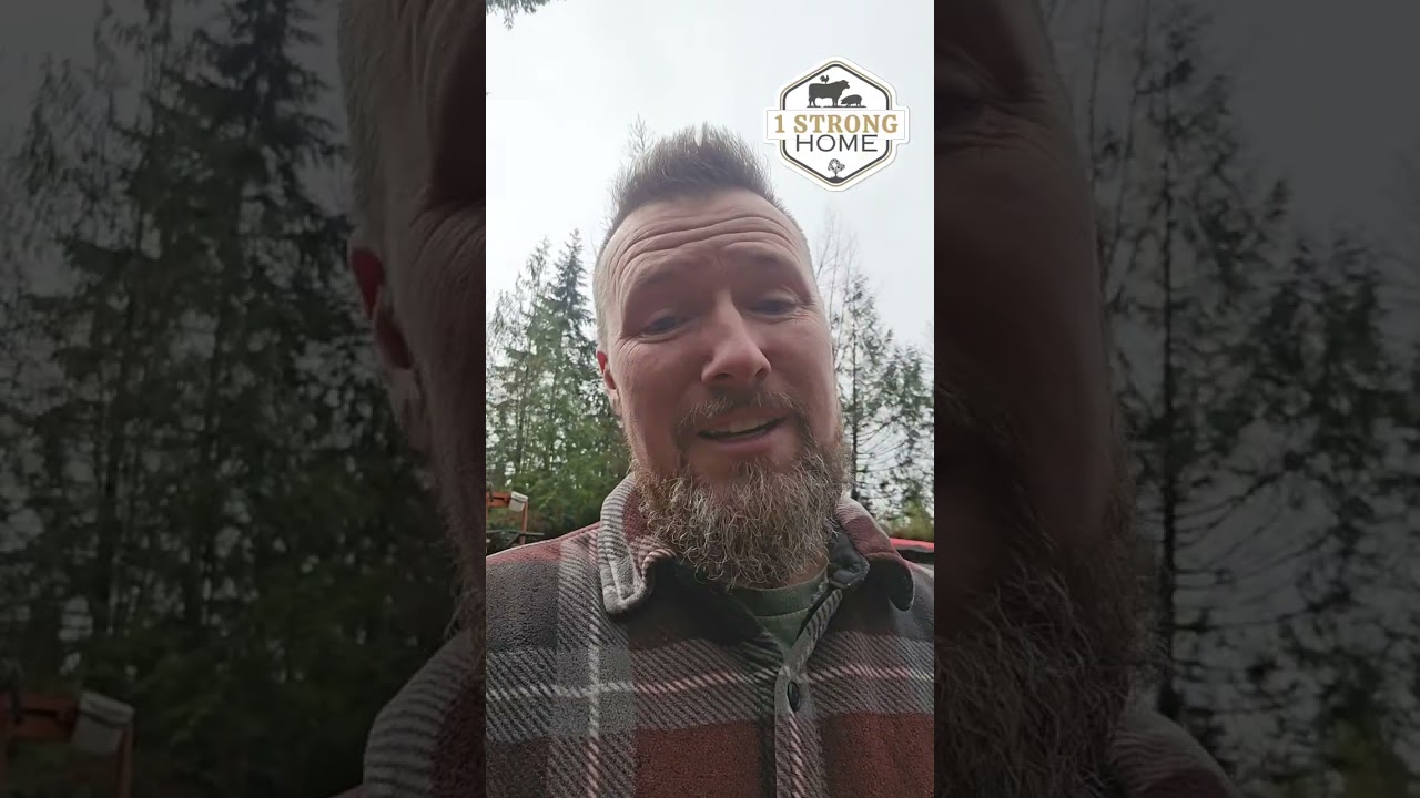 Repairing field fence and adding a farm gate on the homestead!