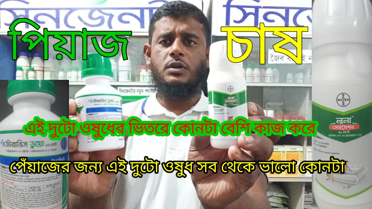 পেঁয়াজ চাষের জন্য সবচেয়ে ভালো ওষুধ কোনটা | সিনজেনটা কৃষি টিভি 