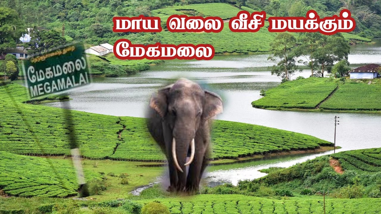 Thekkadi to Megamalai Beautiful Journey | இப்படி ஒரு இடம் தமிழ்நாட்டில் கிடையாது | Jolly Trip