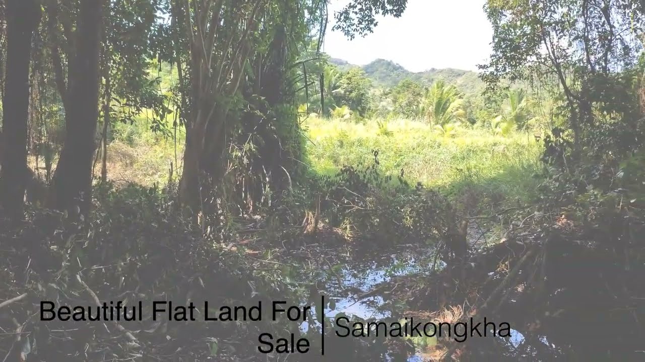 Beautiful mountain view land for sale Koh Phangan