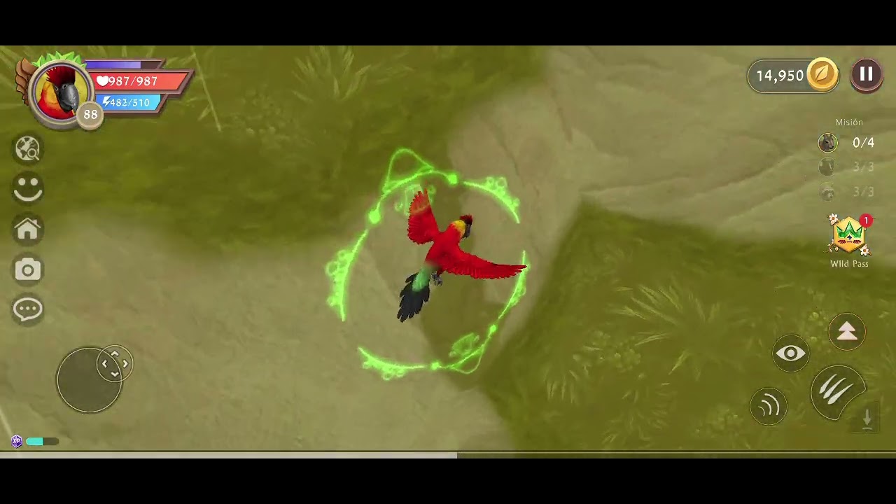 Jugando con transformación loro en Wildcraft y explorando el bosque chino 🐉