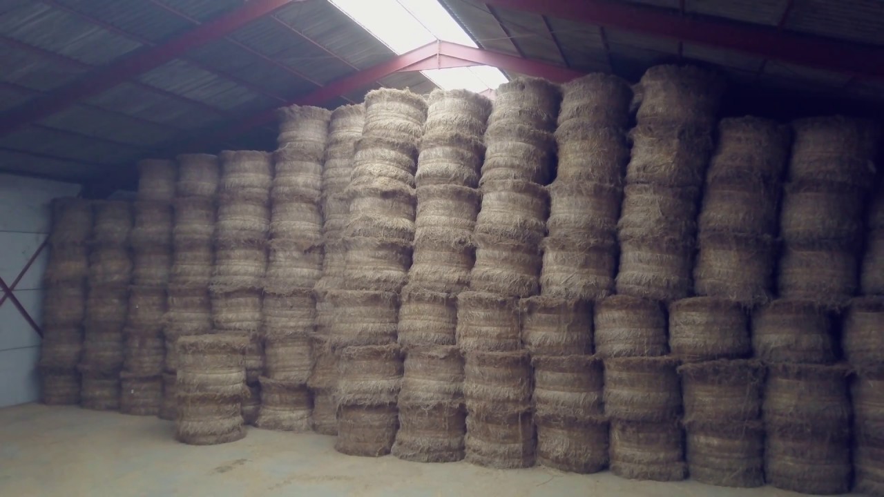 4K trailer flax documentary:  Flax processing company Picavet