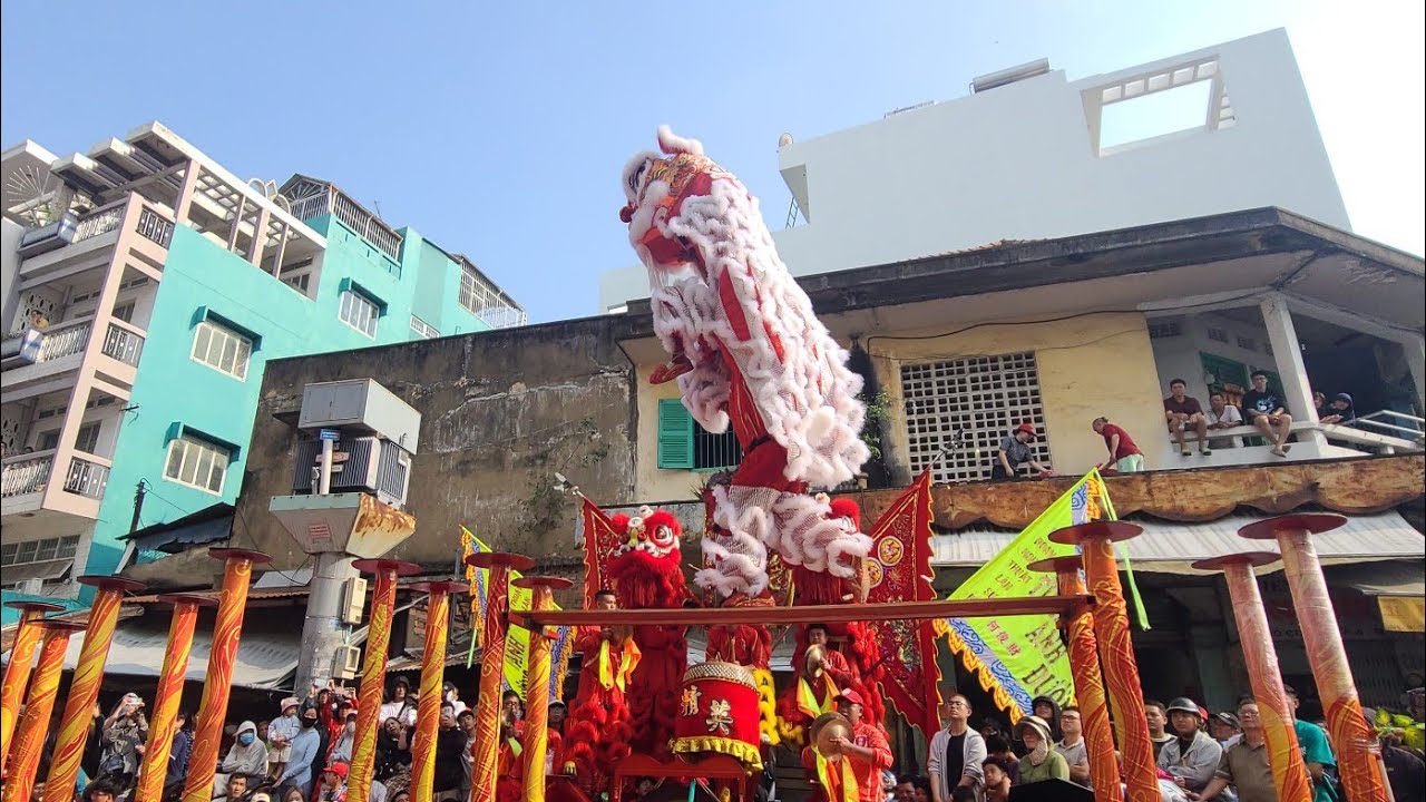 Mùng 6 Tết 2026, Tuyển Chọn 2 cặp múa lân lên mai hoa thung hay nhất Tinh Anh Đường - 越南精英堂龍獅团 2026