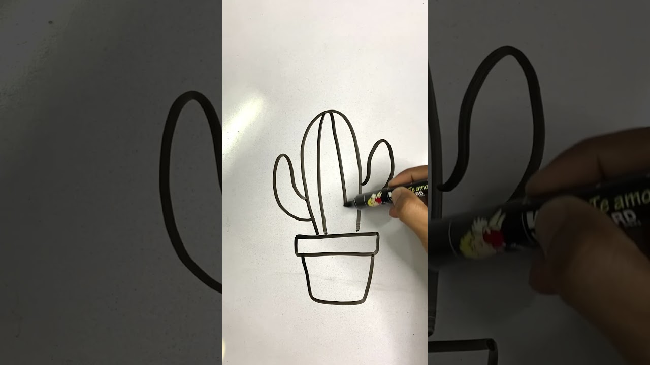 Cactus drawing 