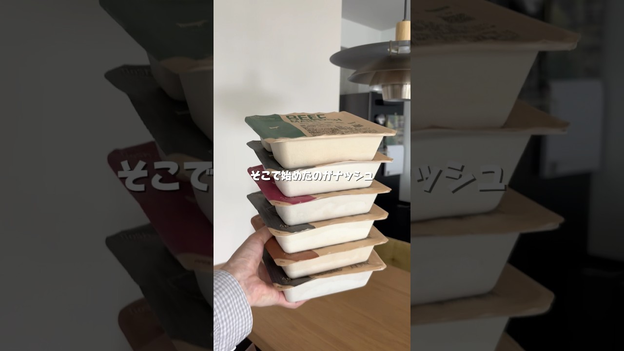 半年間ナッシュ使った忖度なしレビュー
