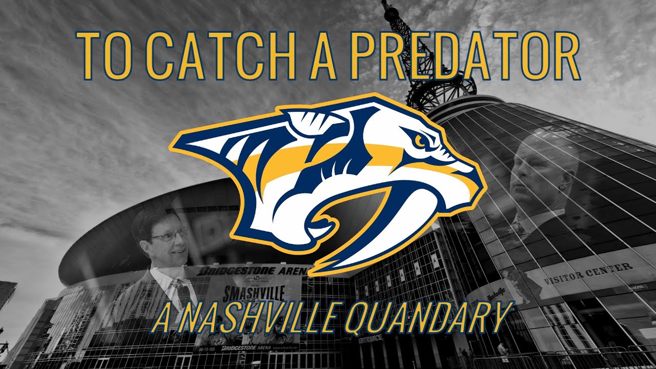 To Catch A Predator: A Nashville Quandary
