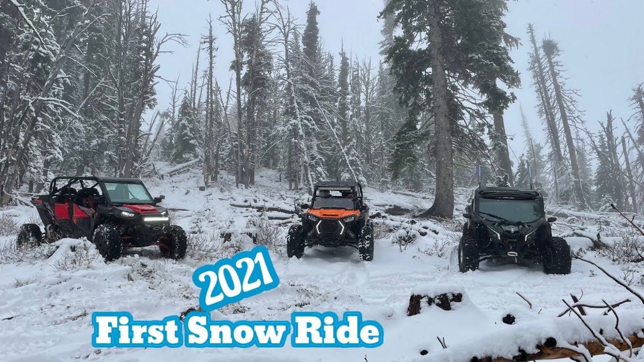 Tampico Washington Trail