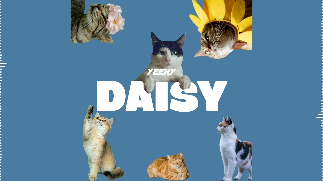 Yeeny - Daisy