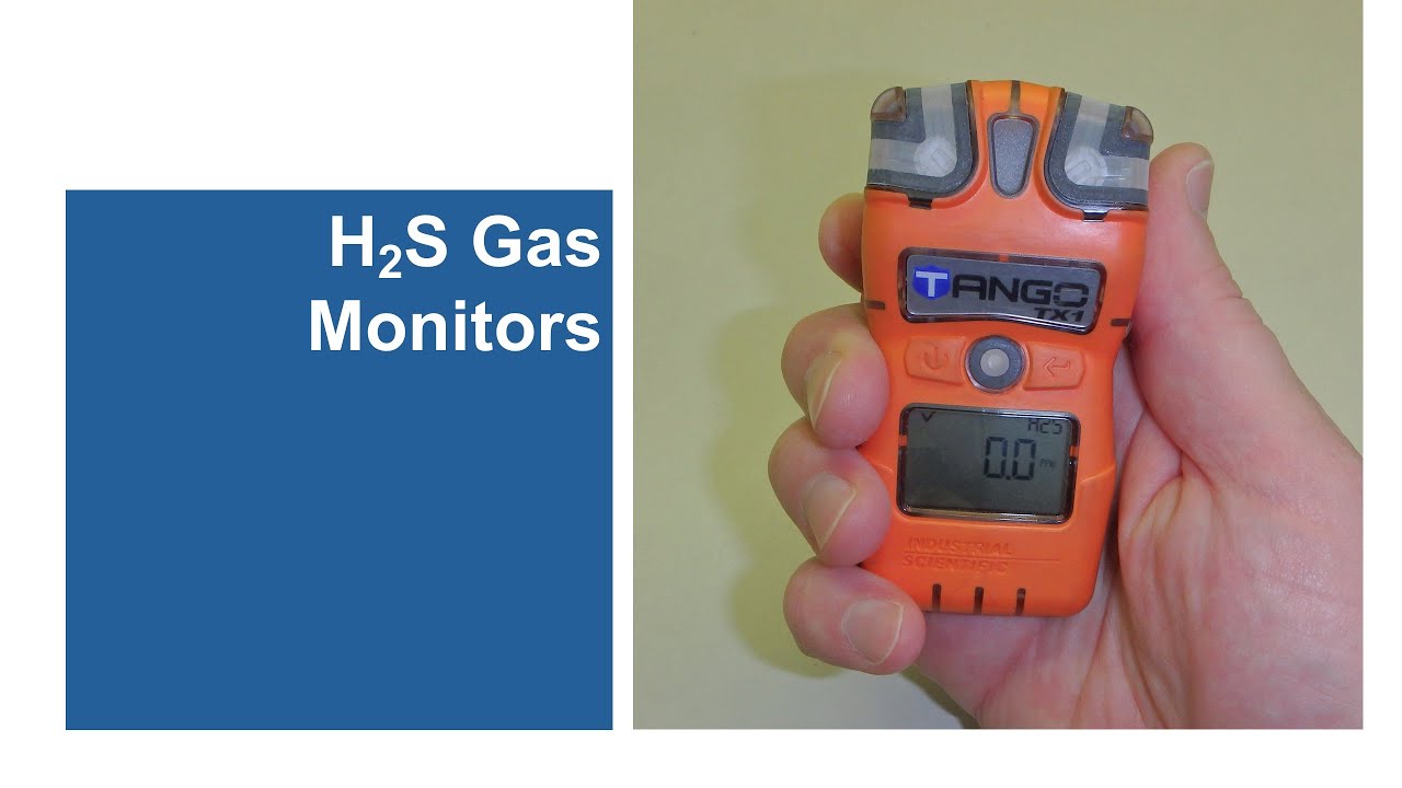 H2S Gas Monitors: Introduction