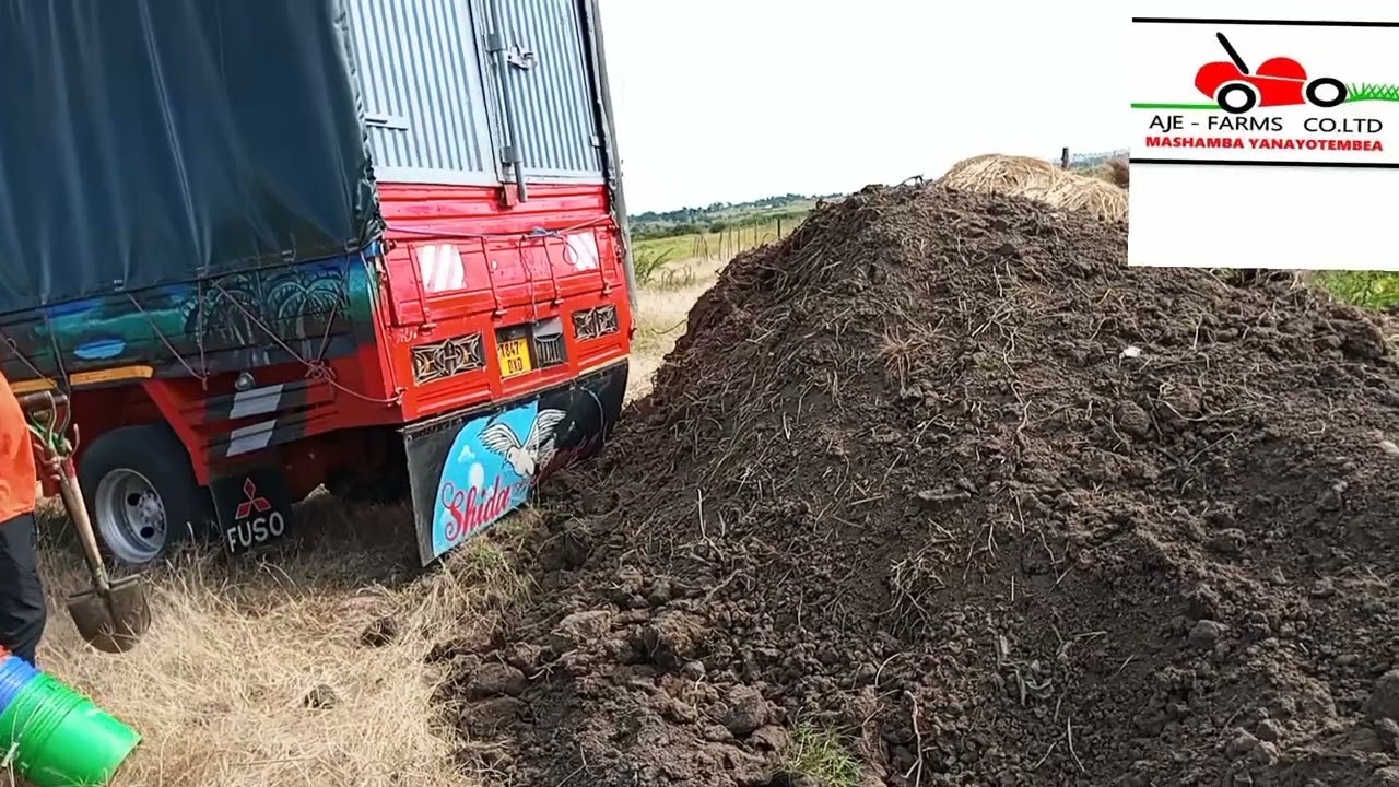 Mbolea Ya Samadi Shambani //Shamba Darasa