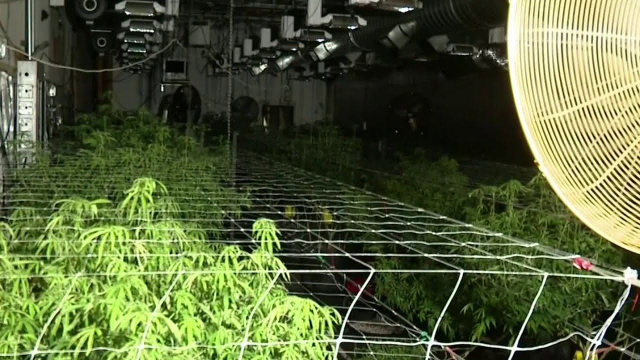 Detroit building left unsecured after authorities discover marijuana grow operation after fire