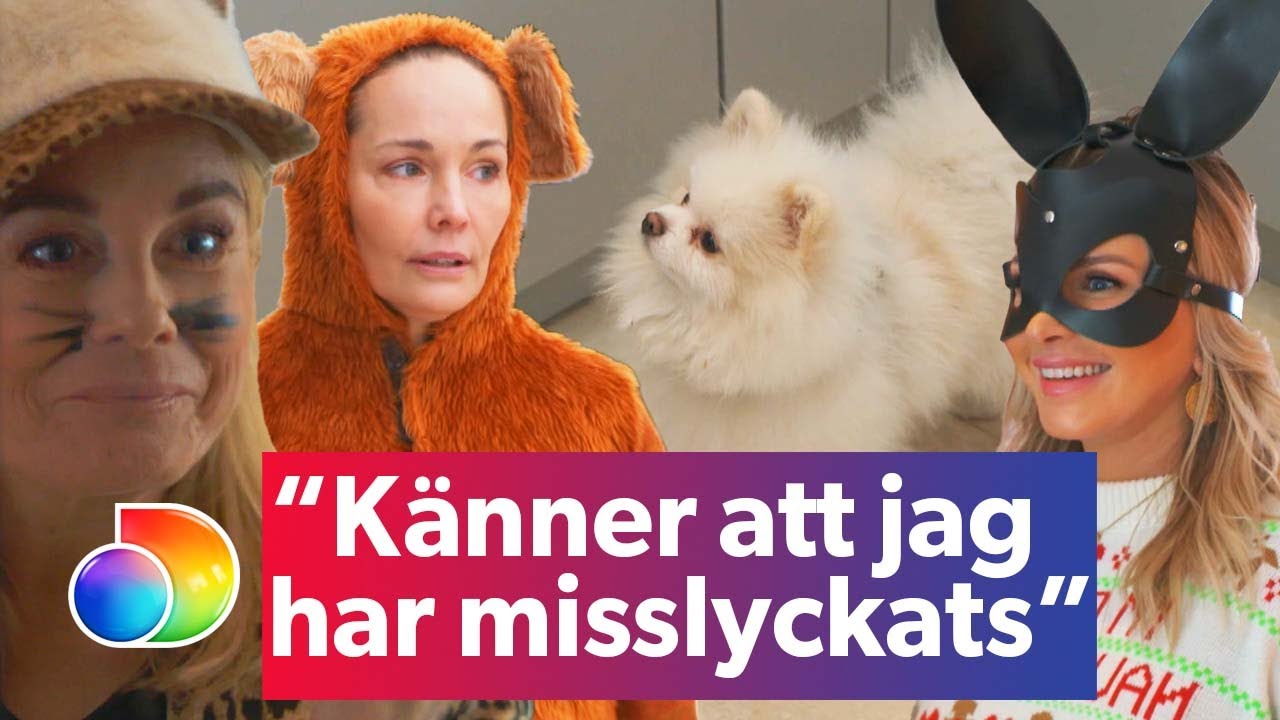 Pernillas kaosartade djurfest SPÅRAR UR | Wahlgrens värld | discovery+ Sverige