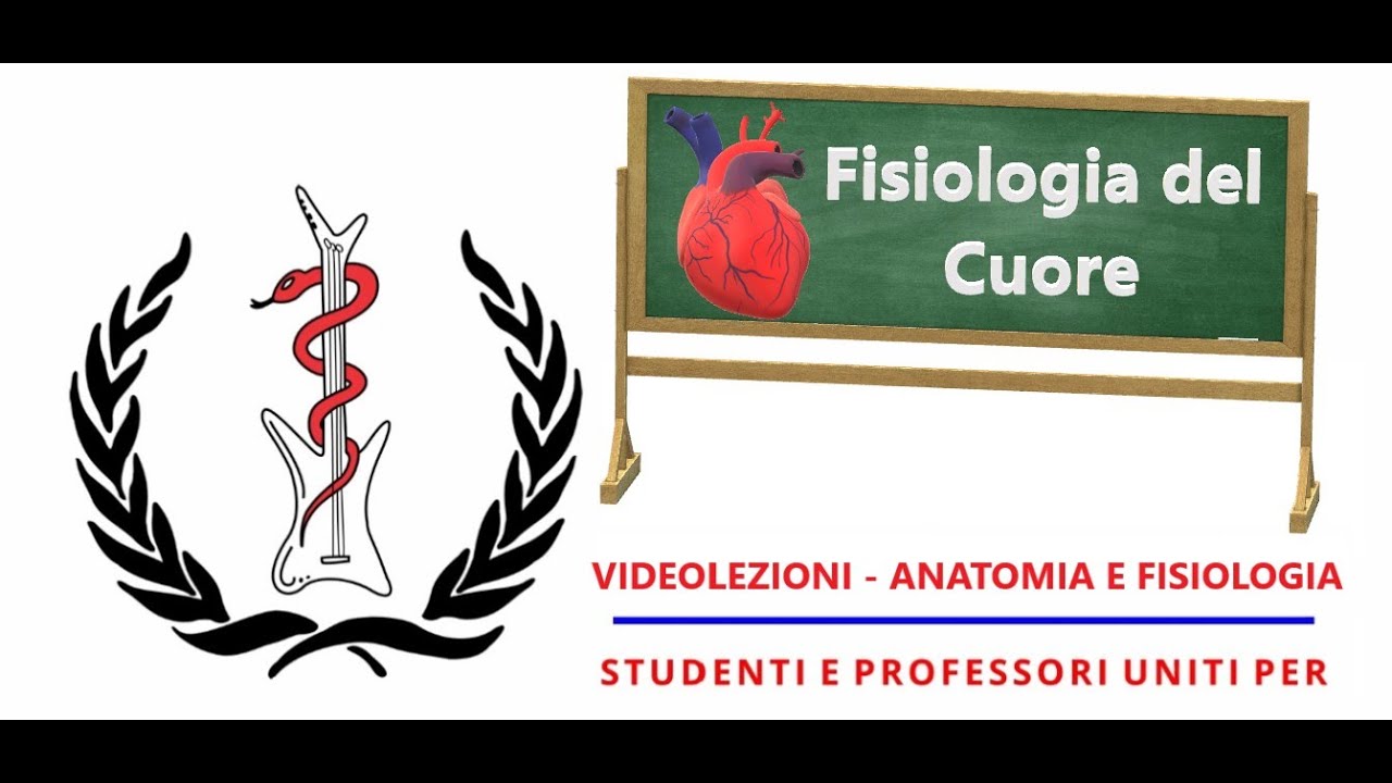 Anatomia e Fisiologia -  Fisiologia del Cuore