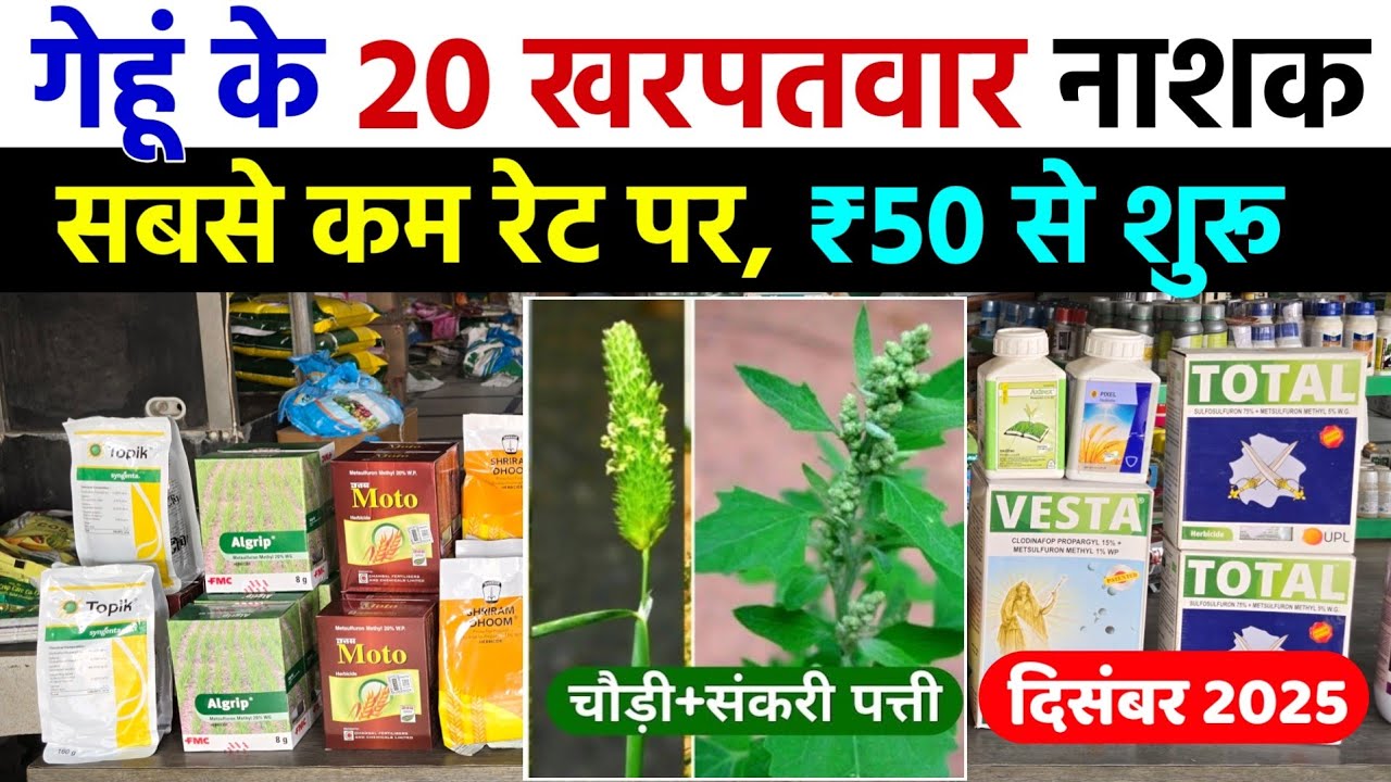 गेहूं के 20 खरपतवार नाशक | सबसे कम रेट | gehu me kharpatwar nashak dawa | wheat herbicide price 2025