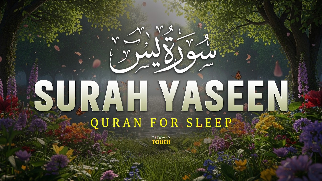 Surah Yaseen سورة يس | Soothing Quran Recitation for Inner Peace | Alaa Aqel #surahyaseen