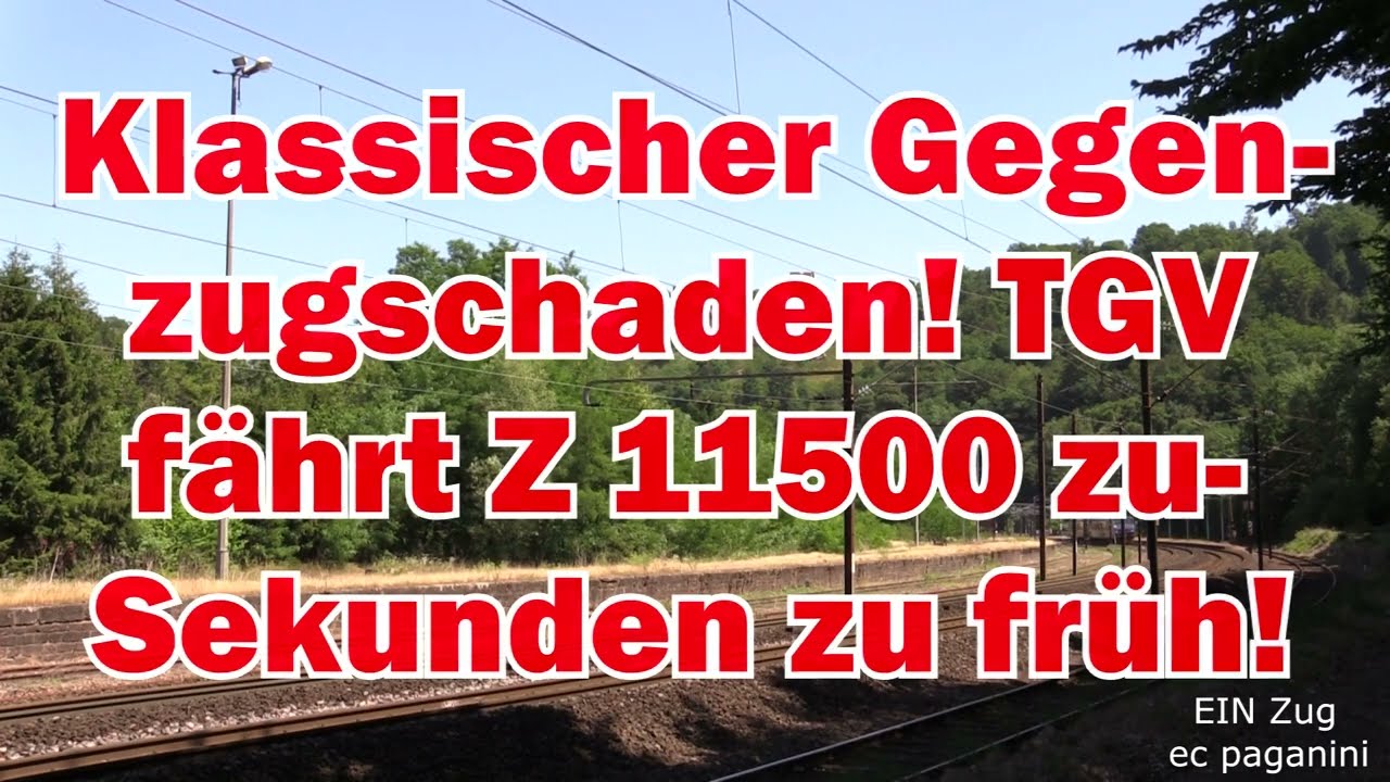 Klassischer Gegenzugschaden! Ein TGV f&auml;hrt das Z 11500 P&auml;rchen zu! Leider um Sekunden zu fr&uuml;h!