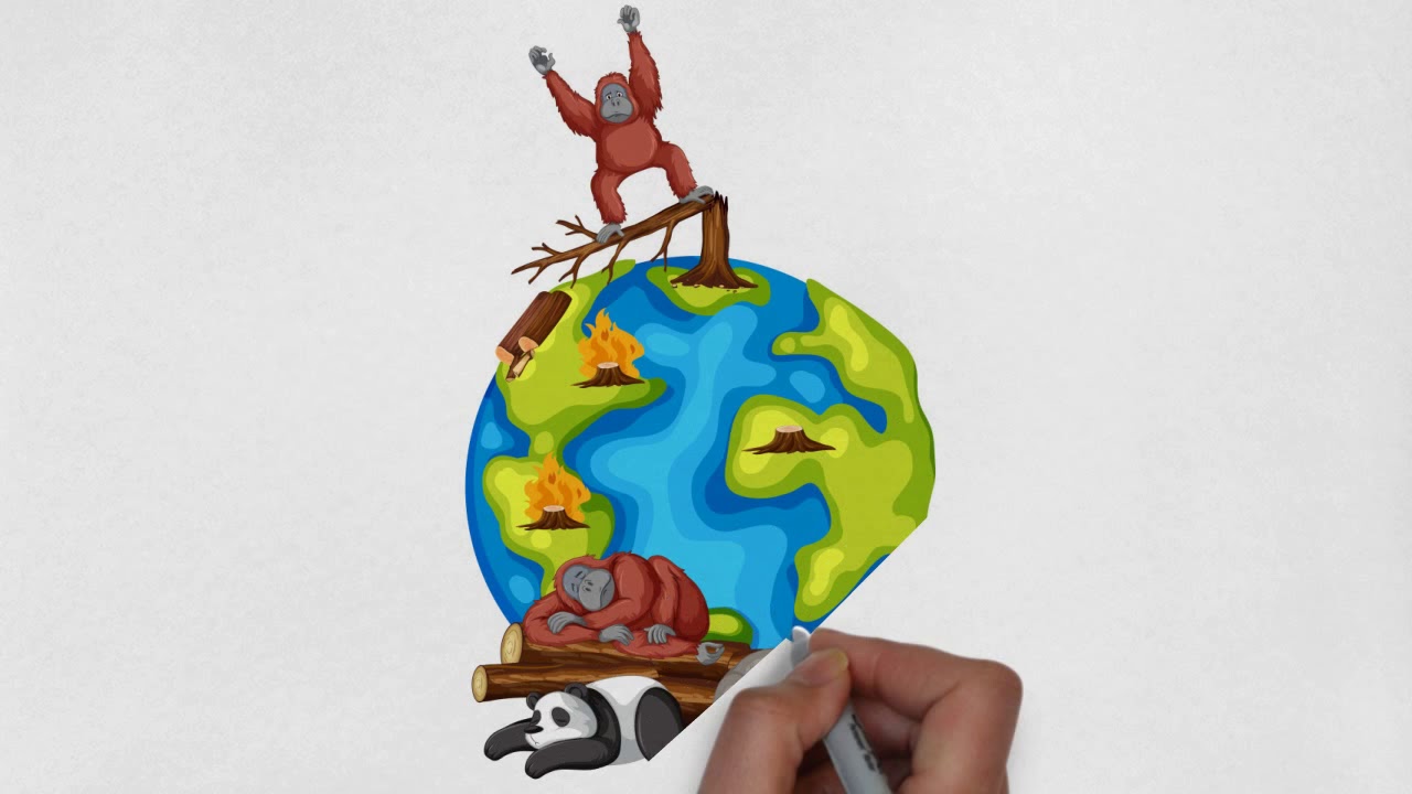 Desperdicio de alimentos