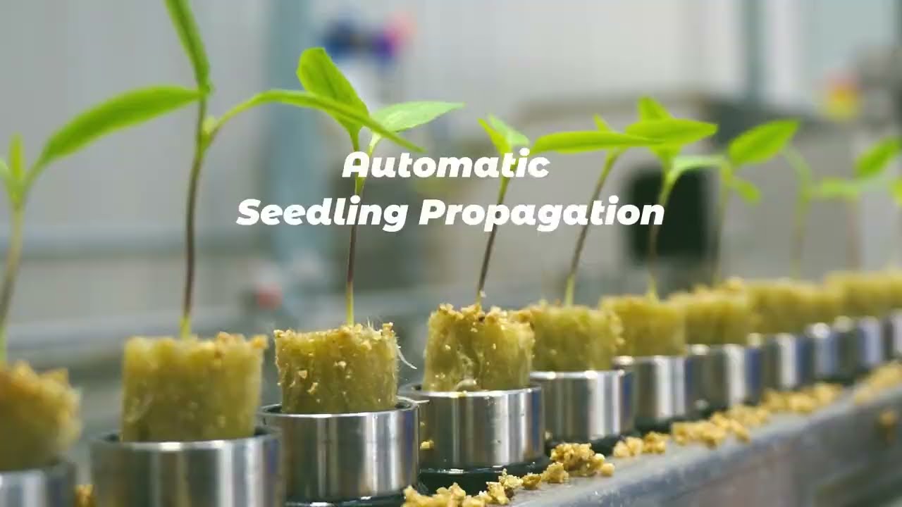 Automatic Seedling Propagation.