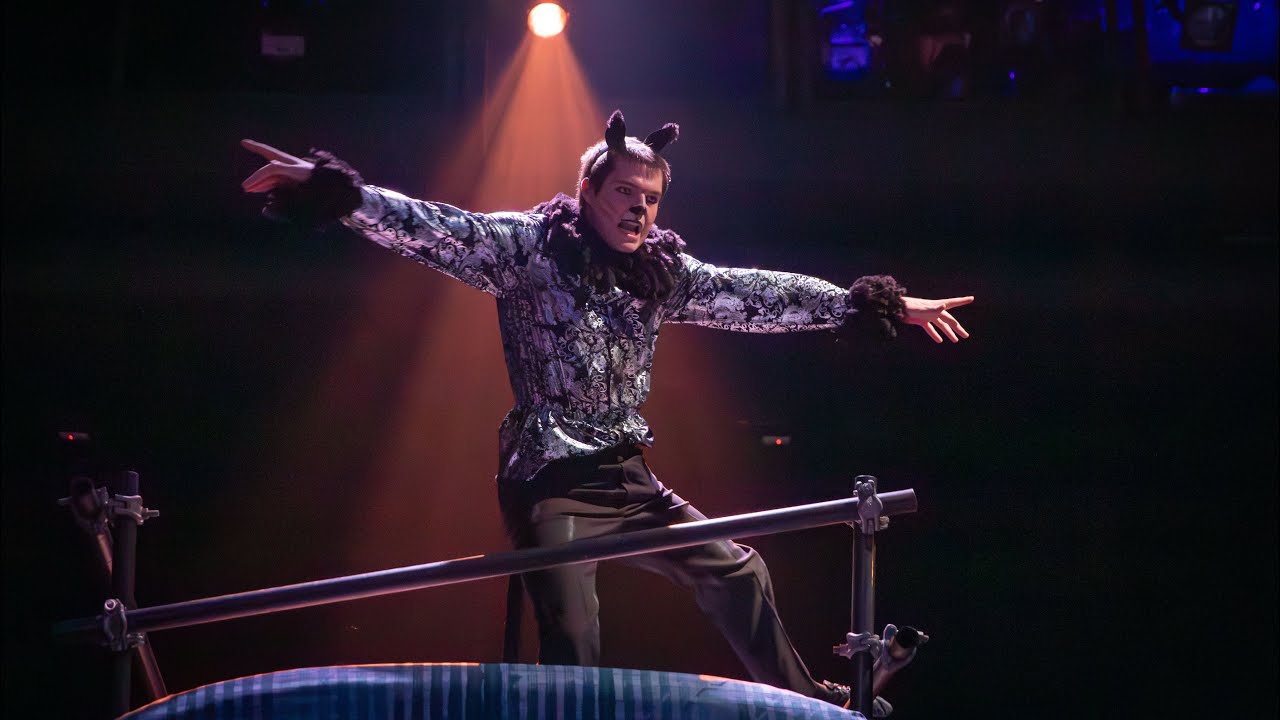 The Invitation to the Jellicle Ball | Michael Vasilevich