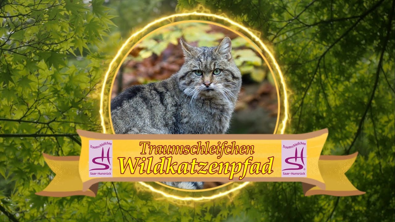 Traumschleifchen Wildkatzenpfad  Weiskirchen