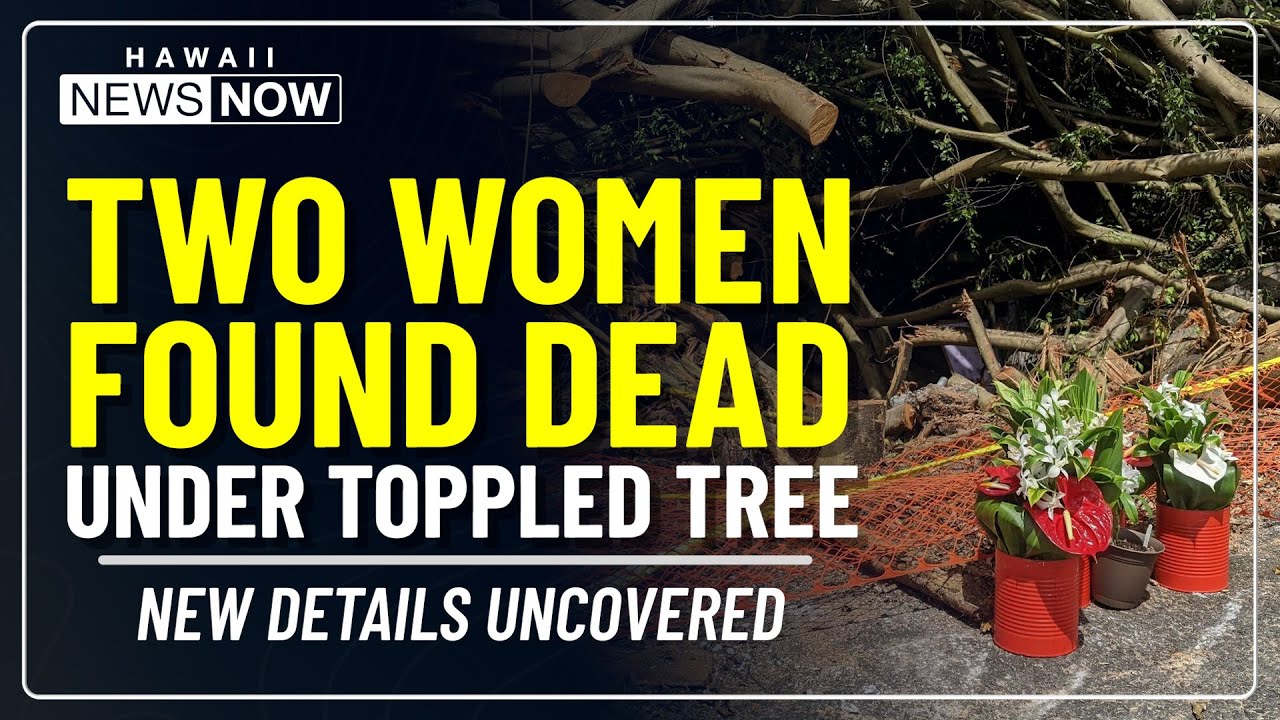 Remains of two women recovered from toppled Hilo banyan tree