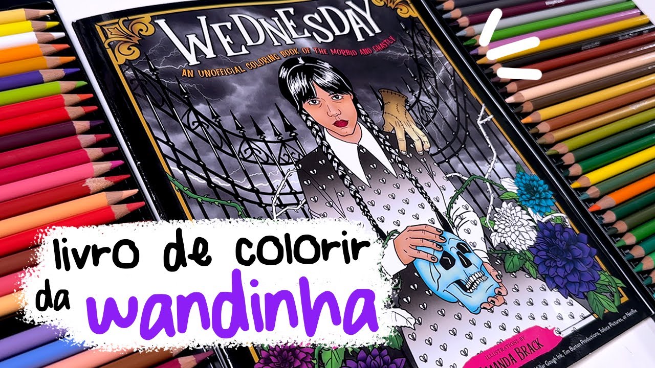 ARTISTA PROFISSIONAL VS LIVRO DE COLORIR FEIO DA WANDINHA