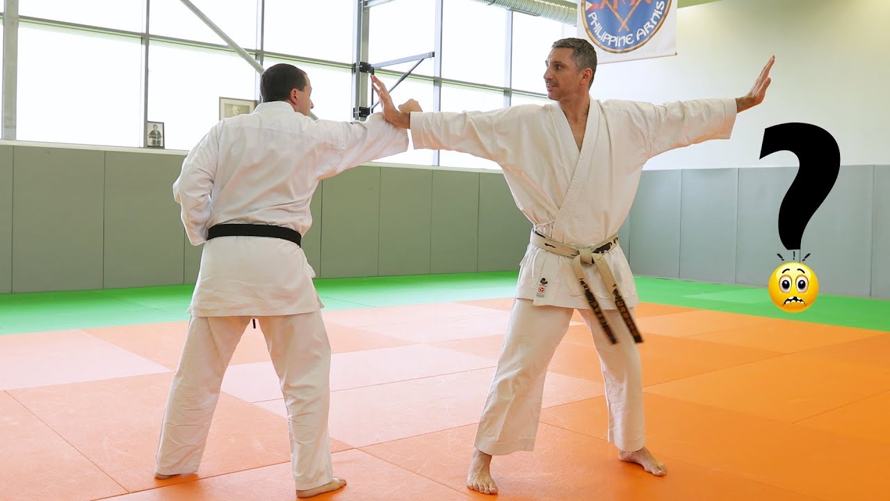 🙄 Pourquoi un double teishô ? Bunkai KARATE | Lionel Froidure