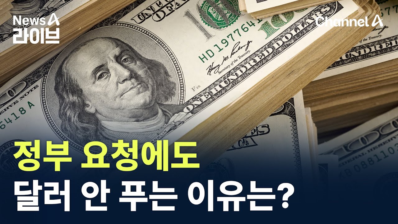 정부 요청에도&hellip;기업들 달러 안 푸는 이유는? / 채널A / 뉴스A 라이브
