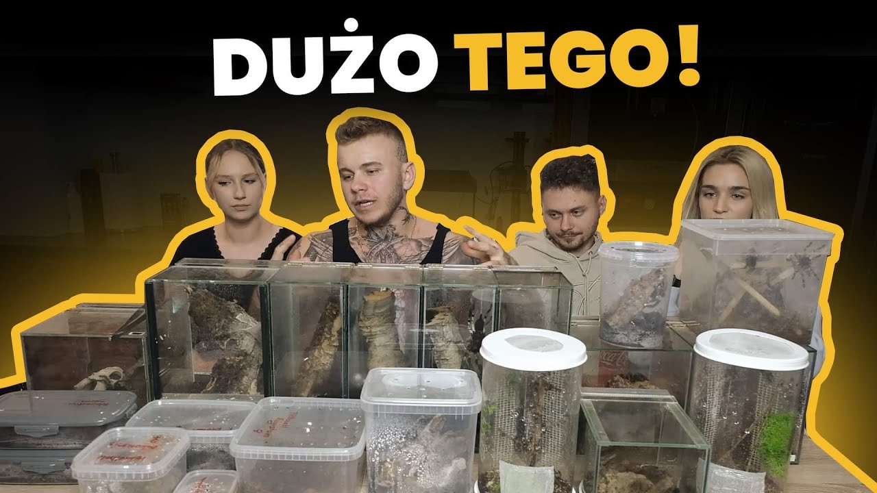 WIELKIE KARMIENIE - PTASZNIKI, MODLICZKI, SKOLOPENDRY