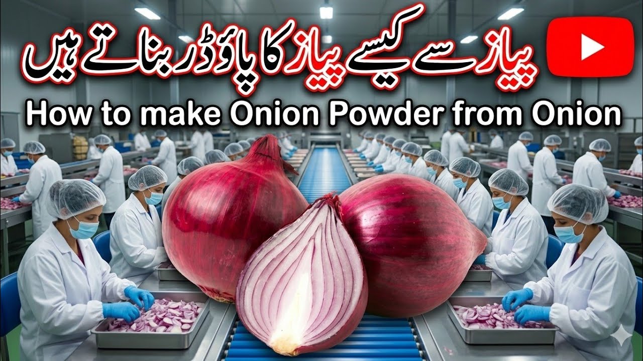 Onion_Factory_Raw_Onions_to_Premium_Powder #ranaadilvlog77 #muscat #pakistan #factory 