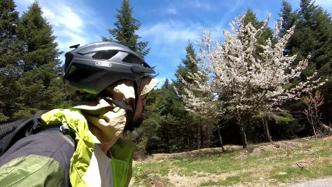 Easter Cycle at Arcadia Highland - April 2025 | WATCH AT 1440p OR HIGHER!!!