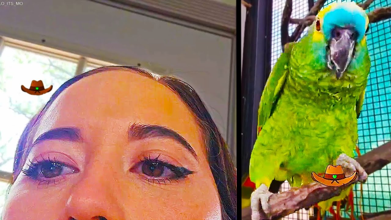 Maya and Siren being CHAOTIC for 9 minutes and 4 seconds...