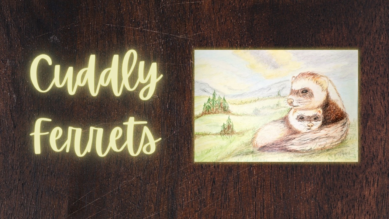 Animals in Love - Ferrets 🦨