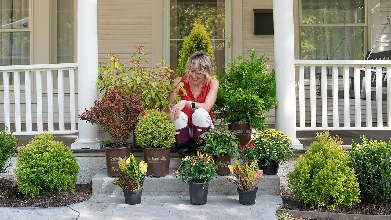 Fall Plants for the Porch