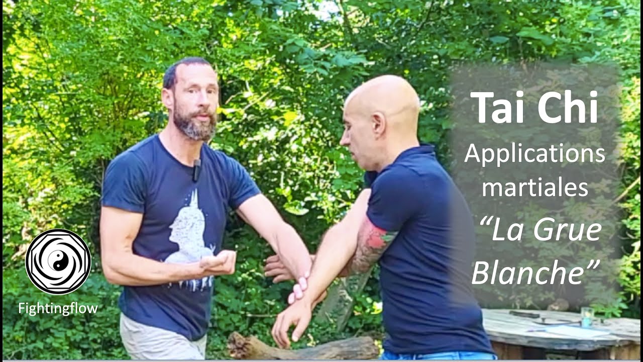 Tai Chi Applications martiales 