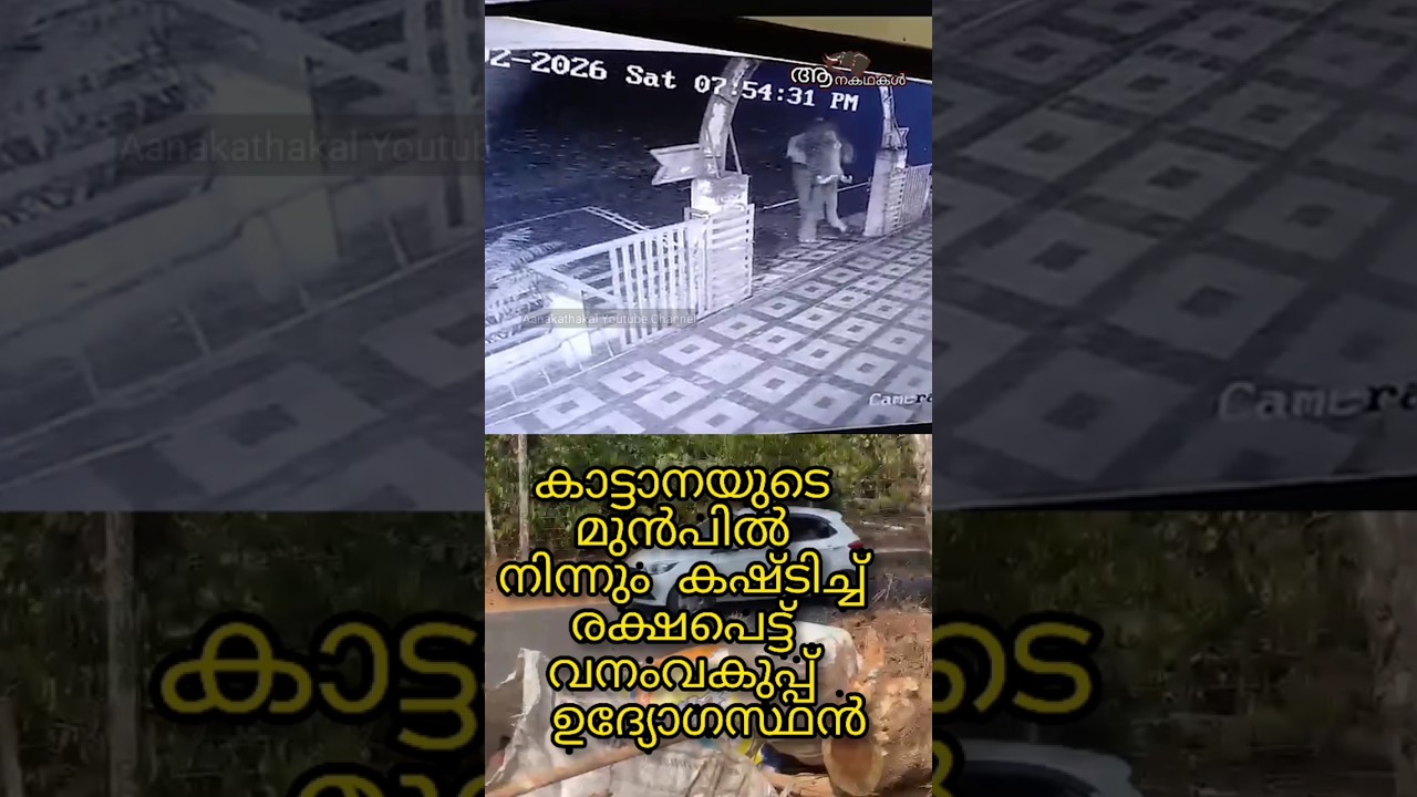 Elephant attack forest employee #elephant #wildelephant #elephantattack #shortsfeed #shorts #viral