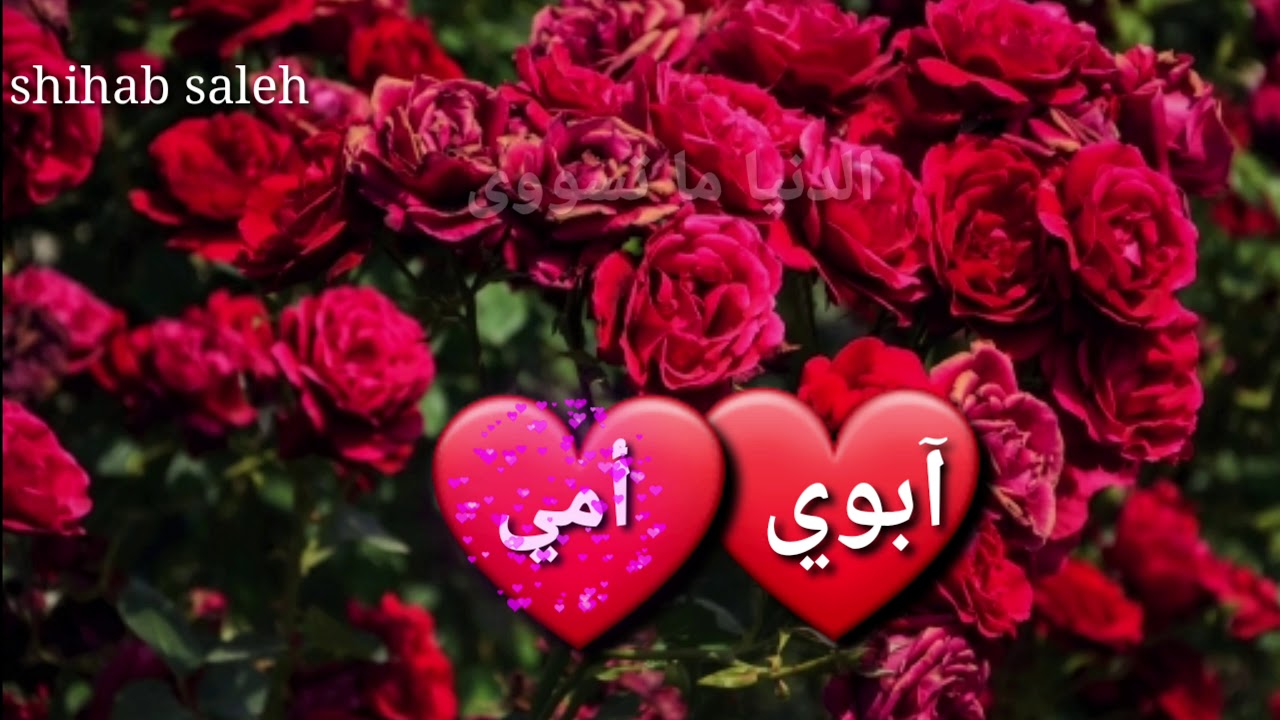 حالات واتس اب عن الاب والام ❤ شعر عراقي حزين عن الاب والام ❤اجمل وأروع شعر عن الام والاب ❤