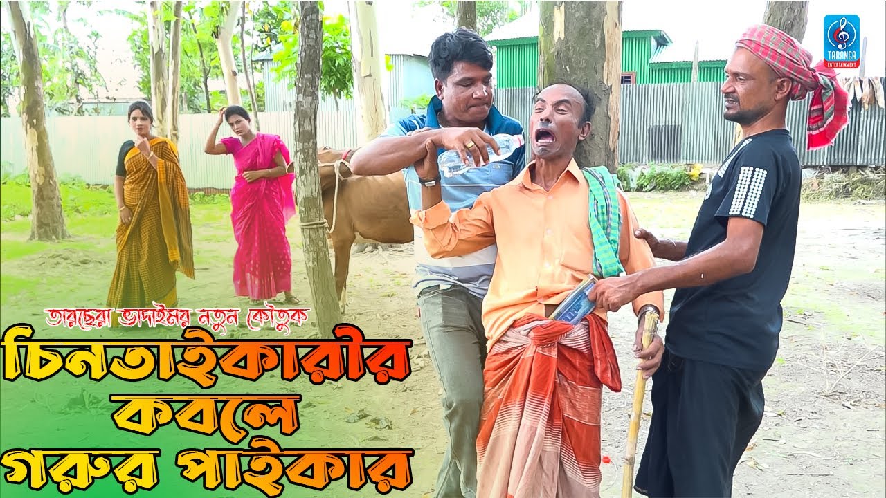 চিনতাইকারীর কবলে গরুর পাইকার | Cintaikarir kobole gorur paikar | সোনা মিয়া Tarchera vadaimar koutuk