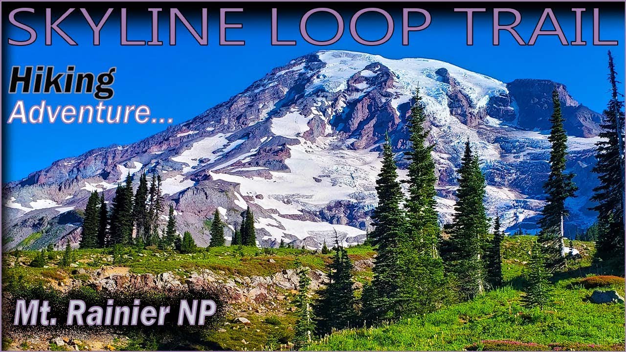 Hiking Skyline Loop Trail | Best Hike Mt Rainier National Park