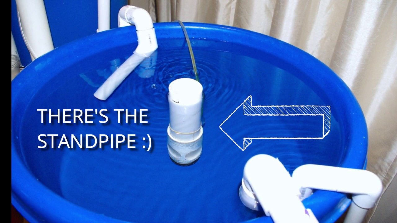 How to build a seahorse fry tub