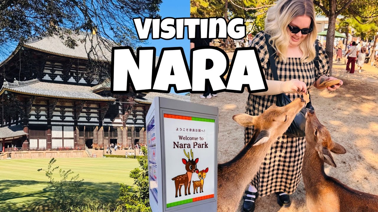 A Day in Nara, Japan 🇯🇵 | Feeding Deer at Nara Park