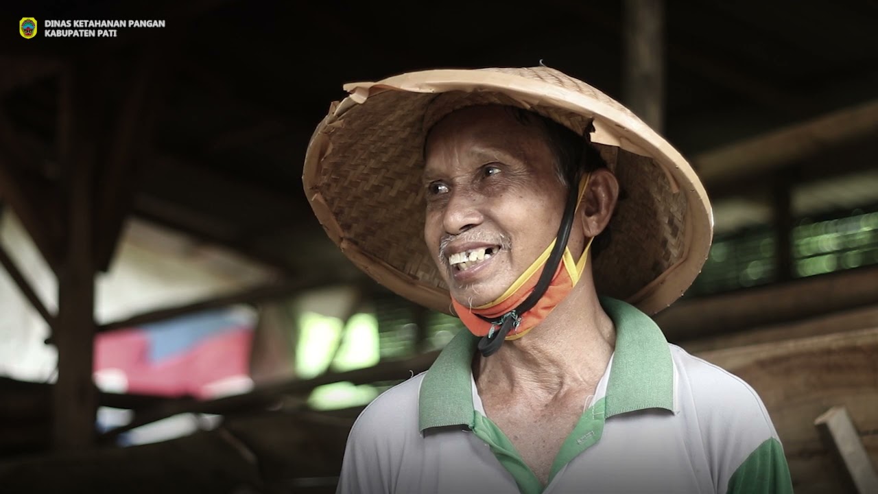 DESA MANDIRI PANGAN