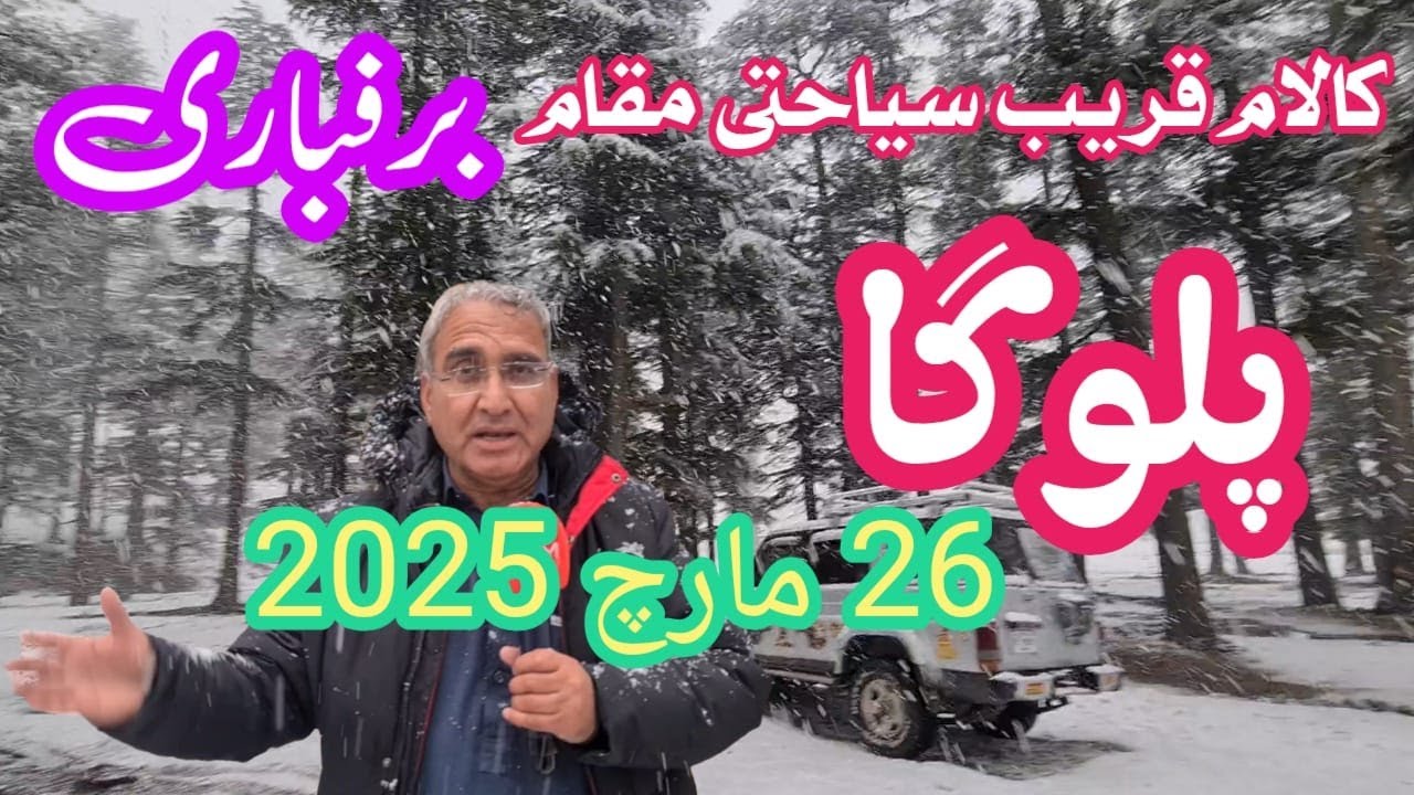 Snowfall in Swat | Paloga & Glacier Covered in White | Chilling Weather Update