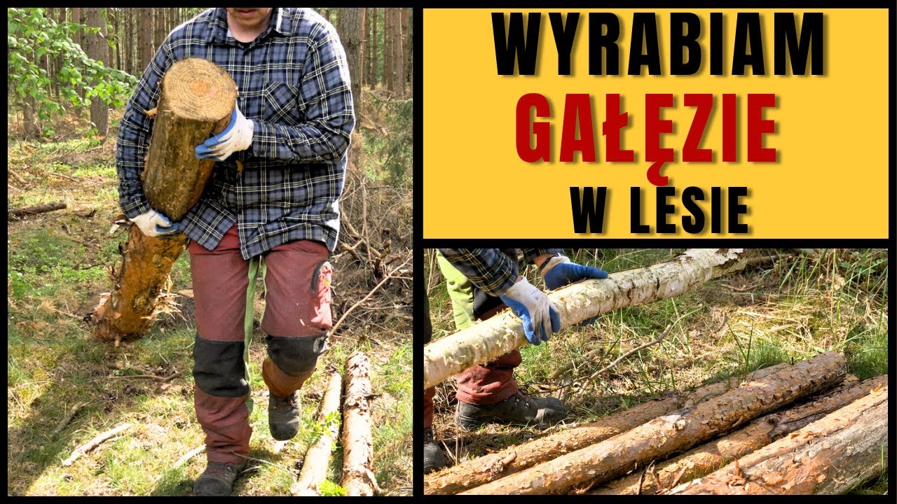 WYRABIAM GAŁĘZIE W LESIE  || Zwykły dzień w lesie ODC 4 || Okiem ZULa