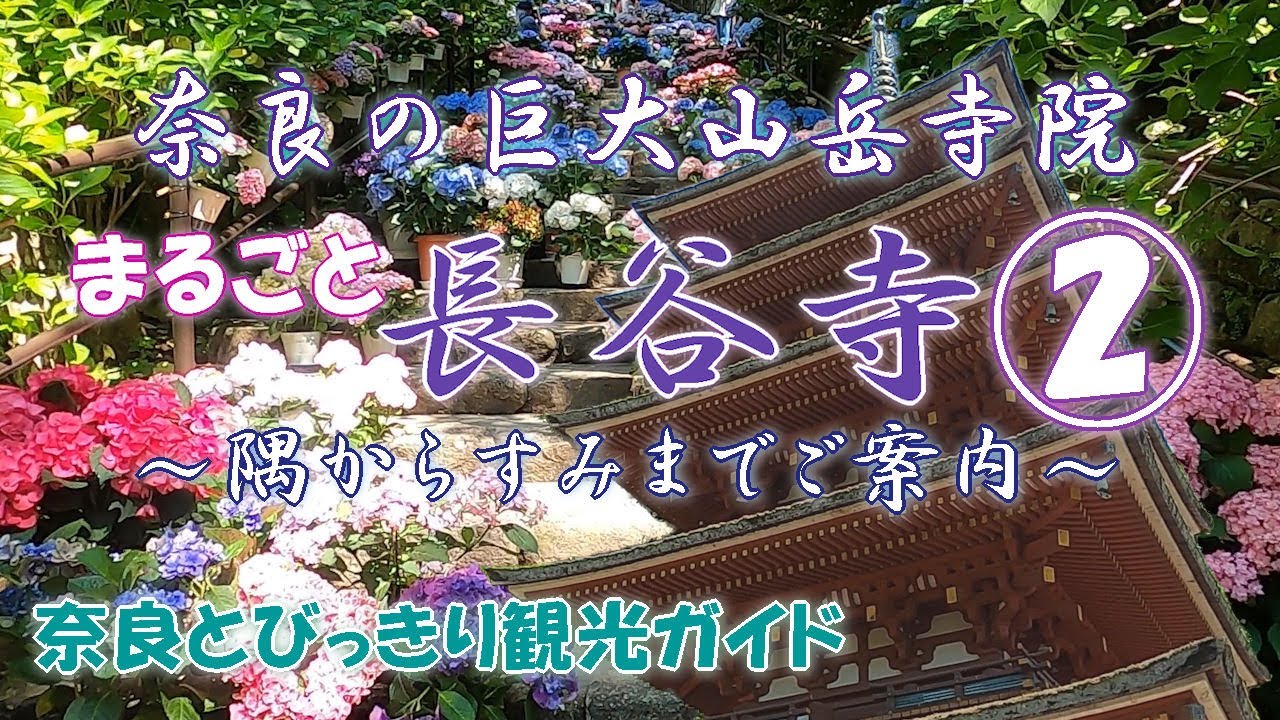 【長谷寺】まるごと長谷寺PART②。弘法大師と真言宗の歩み。平安時代から長谷詣として人気の巨大山岳寺院をあじさいの季節に隅からすみまでご案内。花の寺長谷寺の魅力　奈良とびっきり観光ガイド【弘法大師】