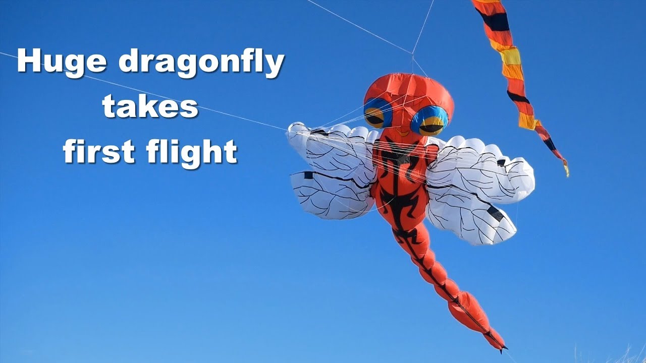 Huge Dragonfly kite takes first flight